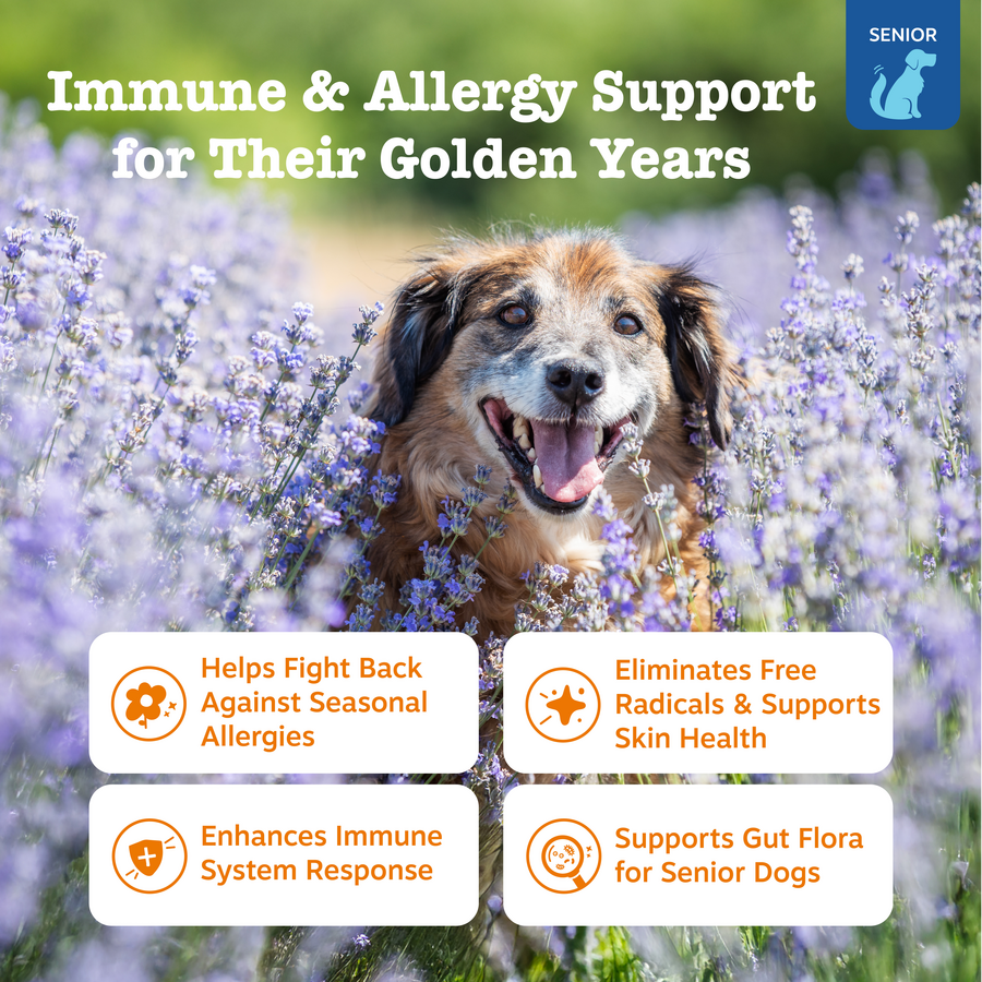 810030590224API_3.0_Senior_AllergyImmune_Salmon_90ct_2_Features-900x900-c4cc11b.png