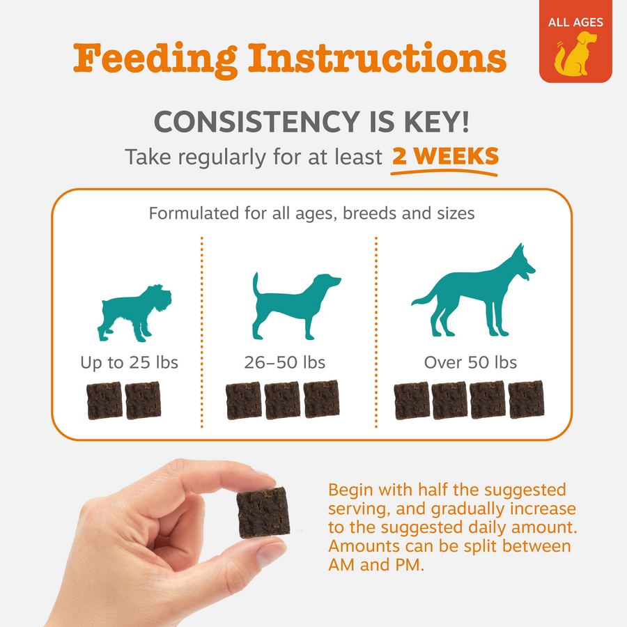 810030590514_ZP_Dog_LilZestiesCalmingSquares_20oz_4_Feeding-900x900-c4cc11b.png