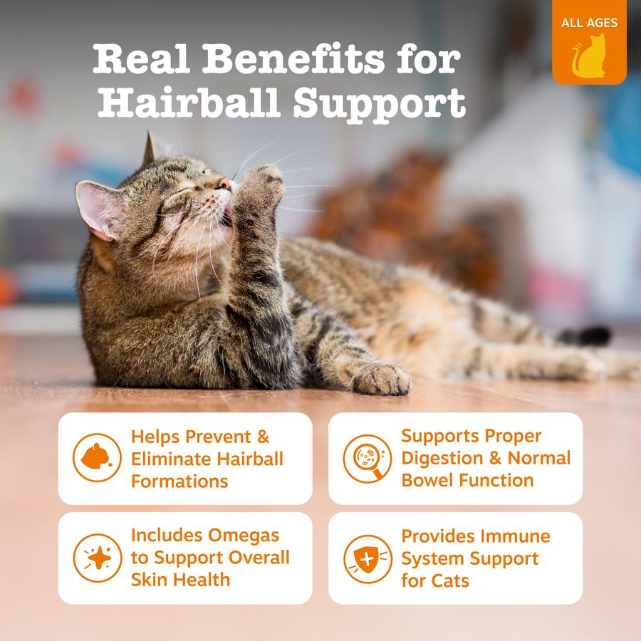 810030590552_ZP_Cat_Supplement_Hairball_Bites_Bacon_60ct_Features-900x900-c4cc11b.png