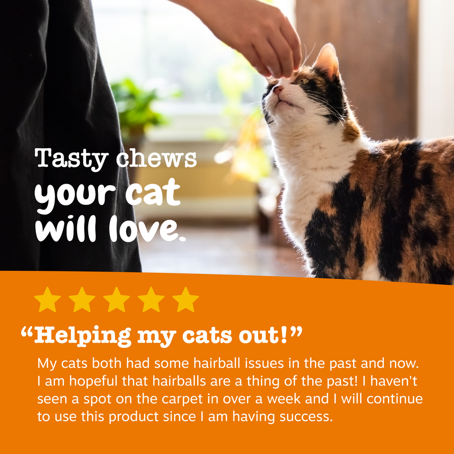 810030590552_ZP_Cat_Supplement_Hairball_Bites_Bacon_60ct_Review-900x900-c4cc11b.png
