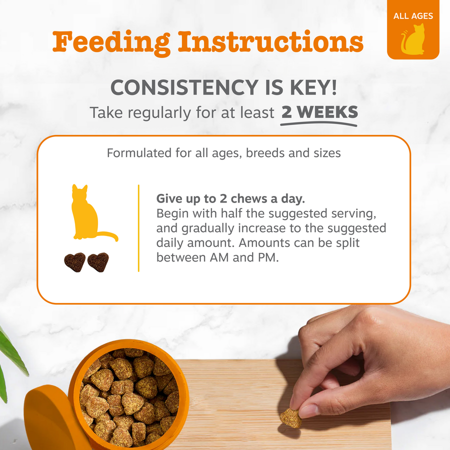 810030590576_ZP_Cat_Supplements_AllergyImmune_Bites_Bacon_60ct_Feeding-900x900-c4cc11b.png