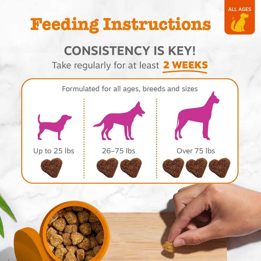 810030590767_ZP_Dog_Supplement_Salmon_Bites_Bacon_90ct_Feeding-900x900-c4cc11b_512e2ac2-1648-46c1-9b63-48491c1c8e93.png