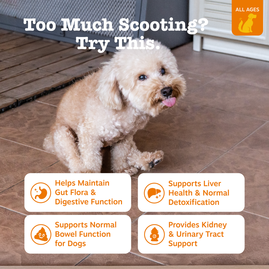 810030591375_ZP_Dog_Supplement_ScootAway_Bites_Chicken_90ct_Features-900x900-c4cc11b.png