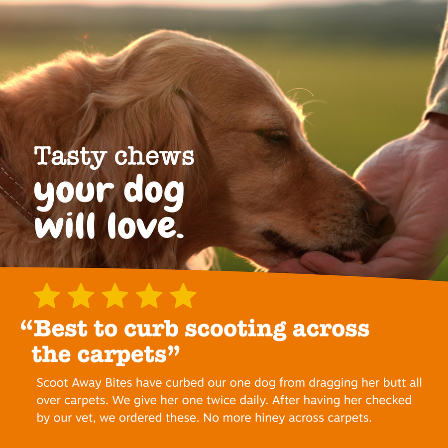 810030591375_ZP_Dog_Supplement_ScootAway_Bites_Chicken_90ct_Review-900x900-c4cc11b.png