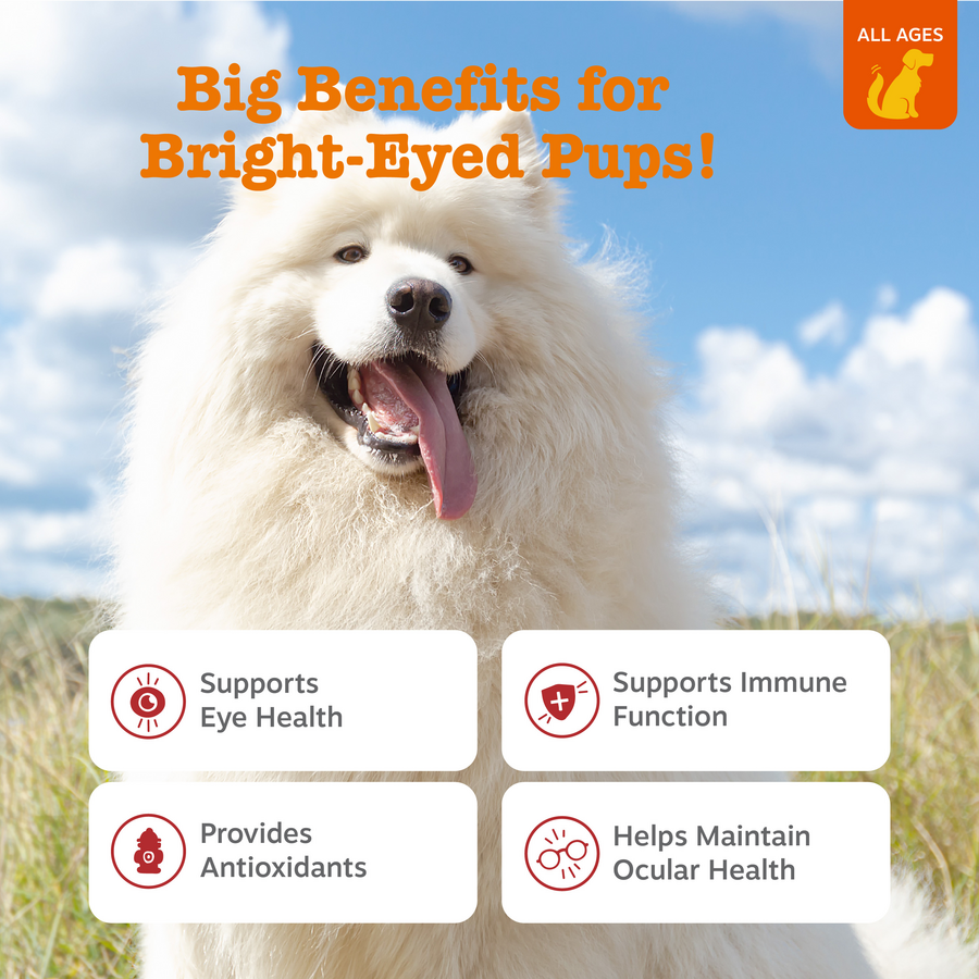 810030591542_ZP_Dog_TearStain_Chicken_90ct_2_Features-900x900-c4cc11b.png