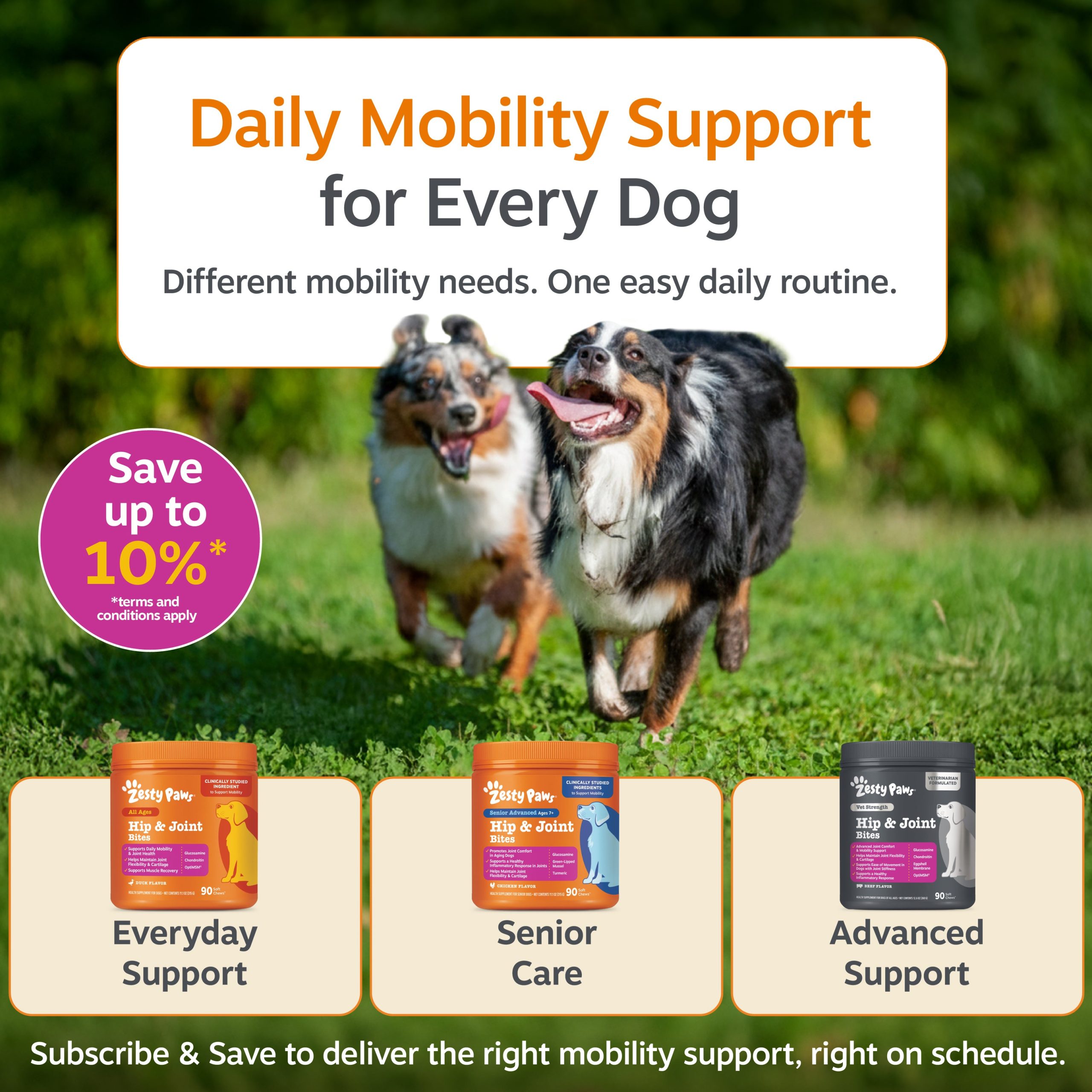 810030591900_ZP_Dog_VetStrength_HipJointBites_BeefBacon_90ct_11_ZestyDifference.jpg