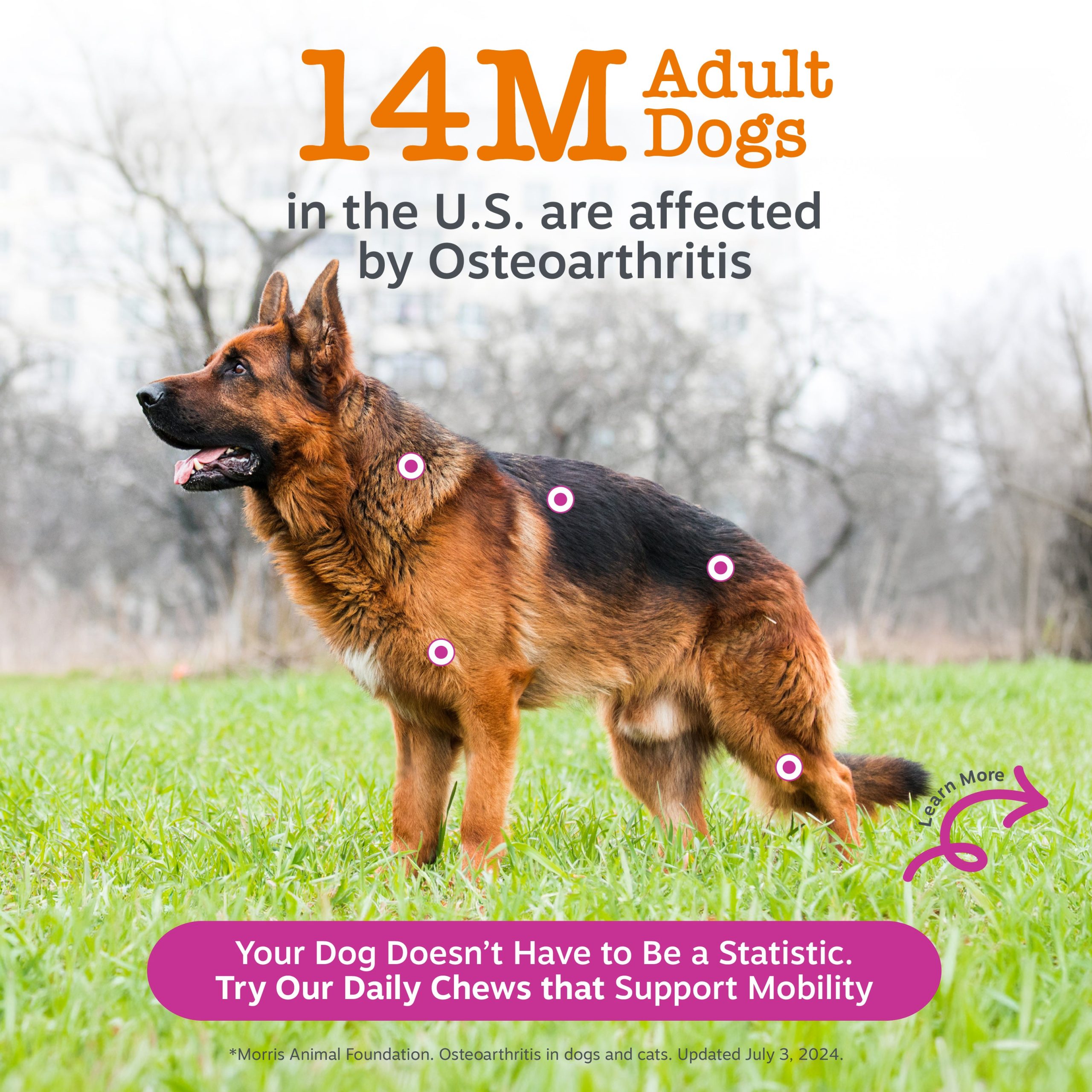 810030591900_ZP_Dog_VetStrength_HipJointBites_BeefBacon_90ct_2_RTB.jpg