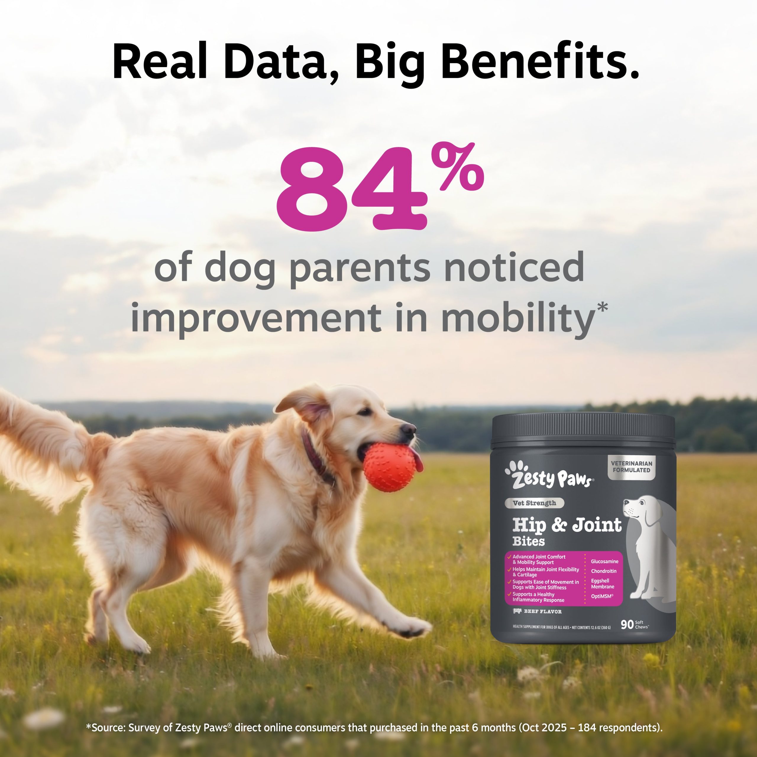 810030591900_ZP_Dog_VetStrength_HipJointBites_BeefBacon_90ct_4_Stat1.jpg