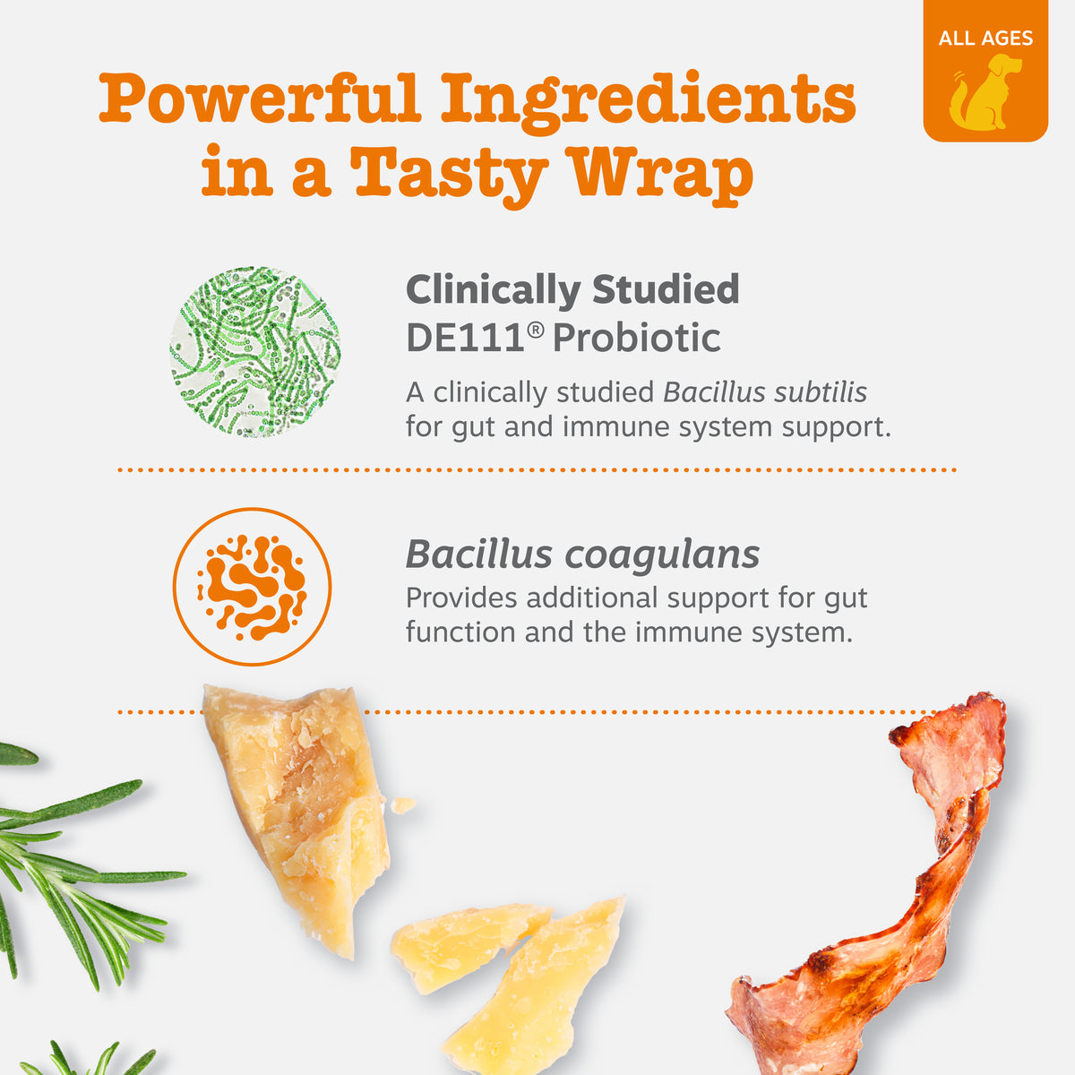 810030592259_ZP_Dog_Supplement_ProbioticPastePillWrap_Bacon_4_2oz_Ingredients-1200x1200-bd93c0f_2da248d7-2e30-4bbc-8e2e-9f63982a3a65.jpg