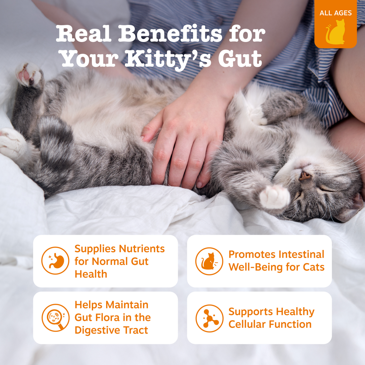 810030593904_ZP_Cat_Treat_DigestionMousse_Chicken_18ct_Features-1200x1200-28e5ebb.png