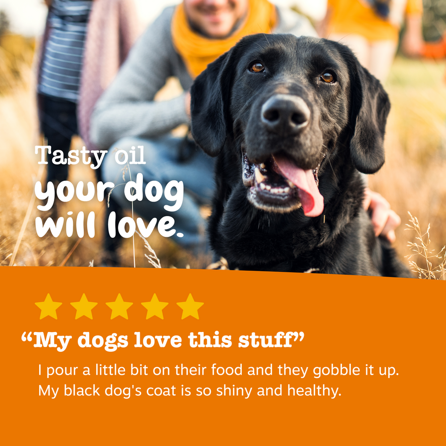 810030594024_ZP_DogCat_Treat_WildAlaskanFishOil_32oz_Review-900x900-c4cc11b.png