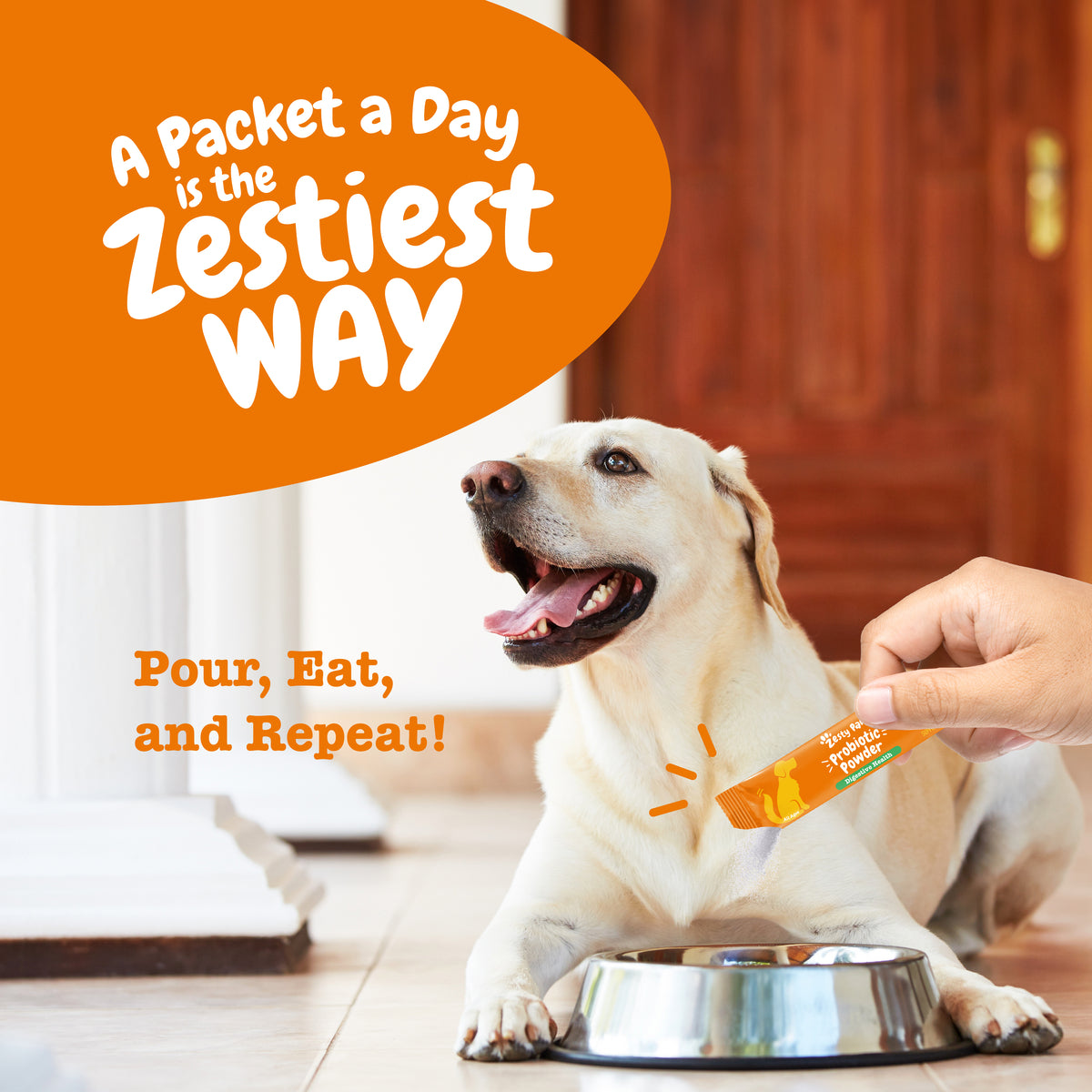 810030594215_ZP_API_ProbioticPowder_Pumpkin_Sachets-1200x1200-bd93c0f.jpg