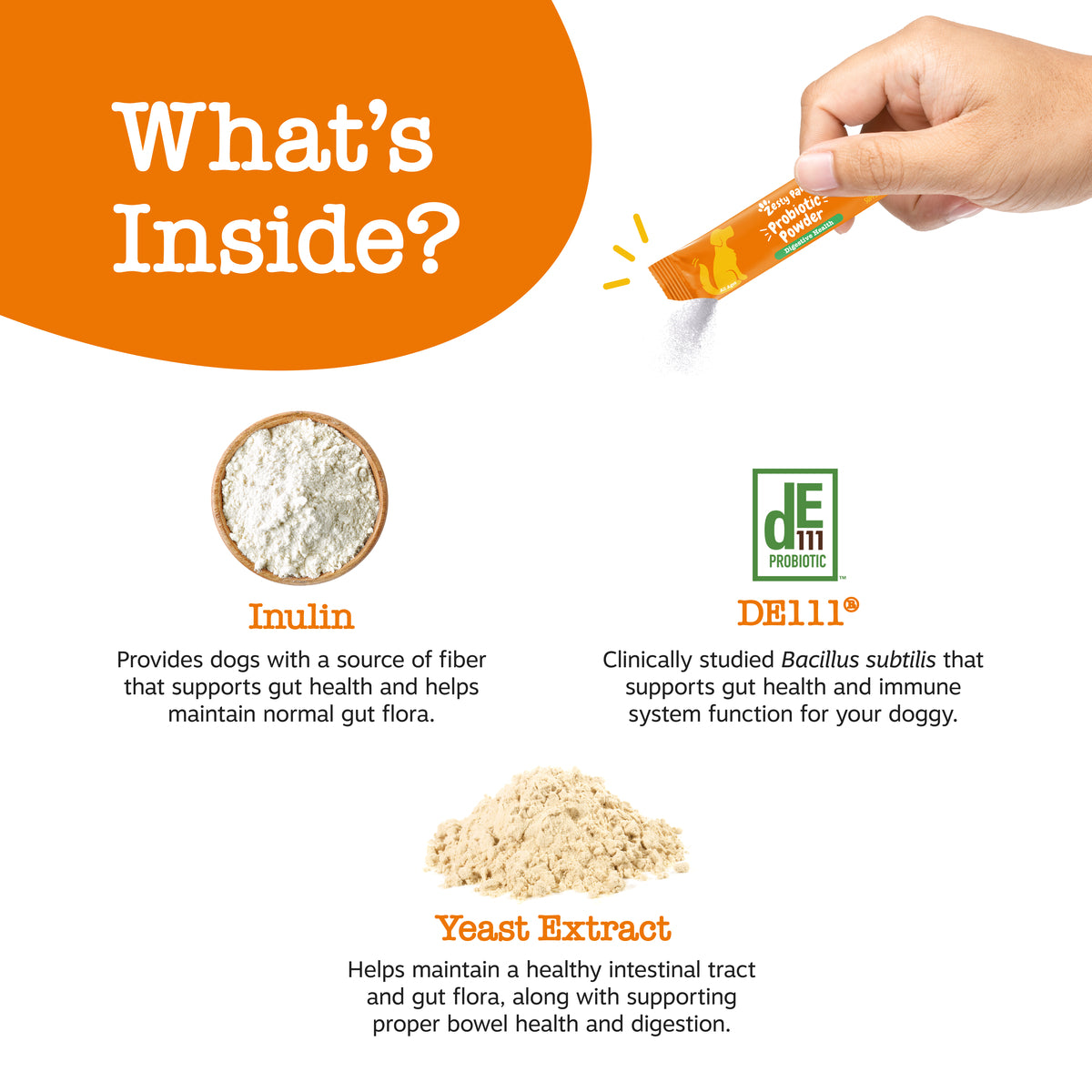 810030594215_ZP_API_ProbioticPowder_Pumpkin_SachetsMock_Ingredients-1200x1200-bd93c0f.jpg