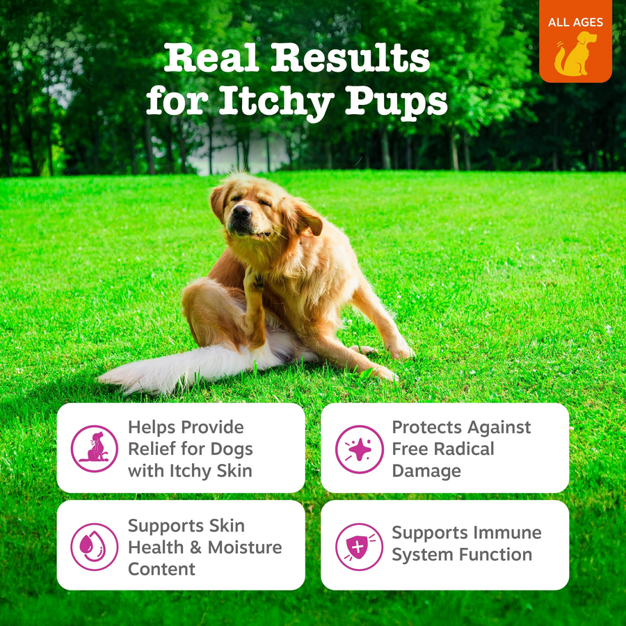 810030594338_ZP_Dog_ItchReliefBites_Chicken_90ct_2_Features-900x900-c4cc11b.png