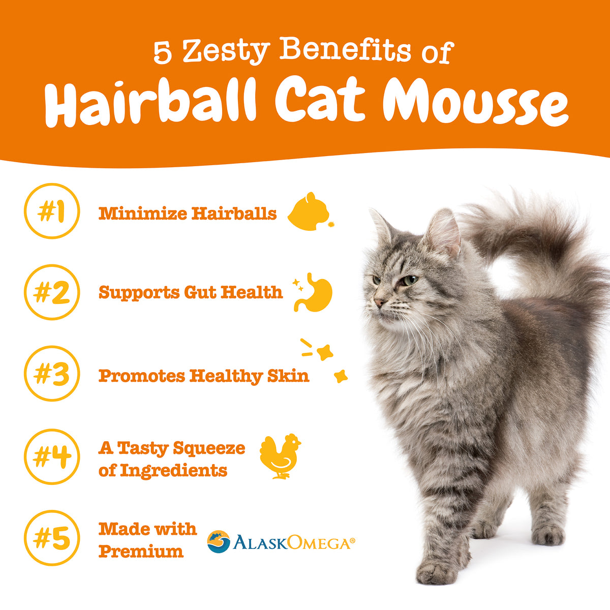 810030594543_ZP_Cat_Supplement_Hairball_Mousse_Chicken_14ct_5Facts-1200x1200-bd93c0f.jpg