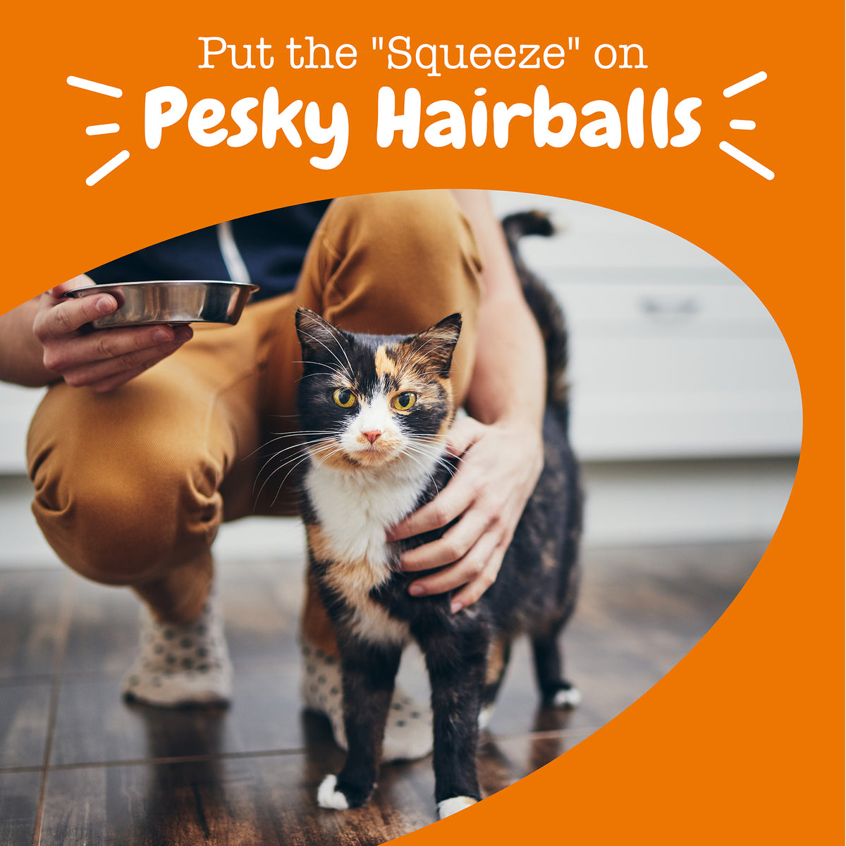 810030594543_ZP_Cat_Supplement_Hairball_Mousse_Chicken_14ct_Lifestyle-1200x1200-bd93c0f.jpg
