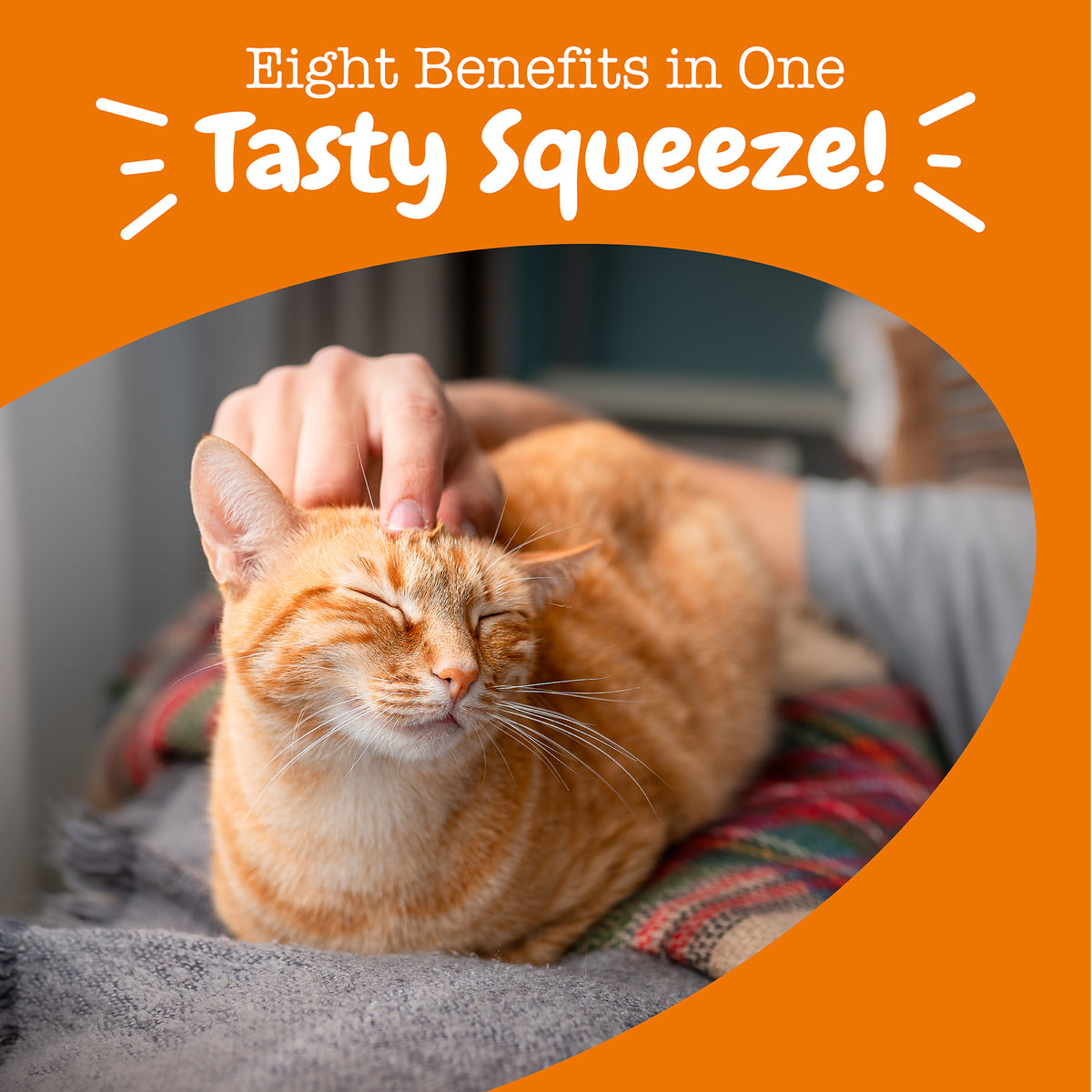 810030594550_ZP_Cat_Supplement_8in1Multivitamin_Mousse_Chicken_14ct_Lifestyle-1200x1200-bd93c0f.jpg