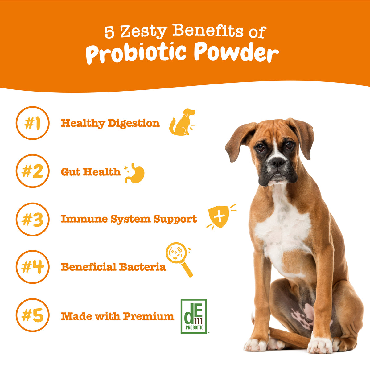 810030595090_ZP_API_ProbioticPowder_Pumpkin_75scoops_5Facts-1200x1200-bd93c0f.jpg