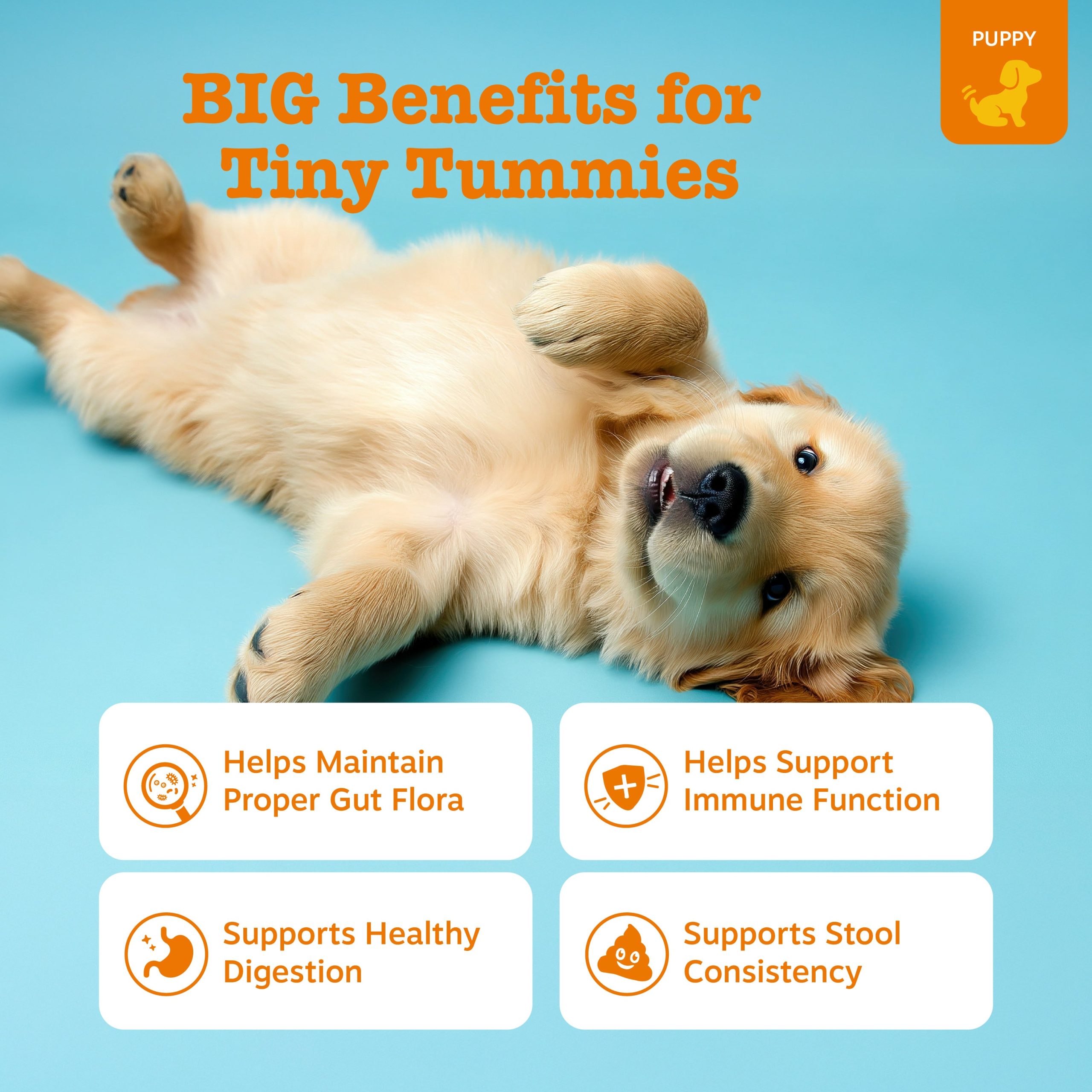810030595632_API_3.0_ProbioticPuppy_Pumpkin_90ct_2_Features.jpg