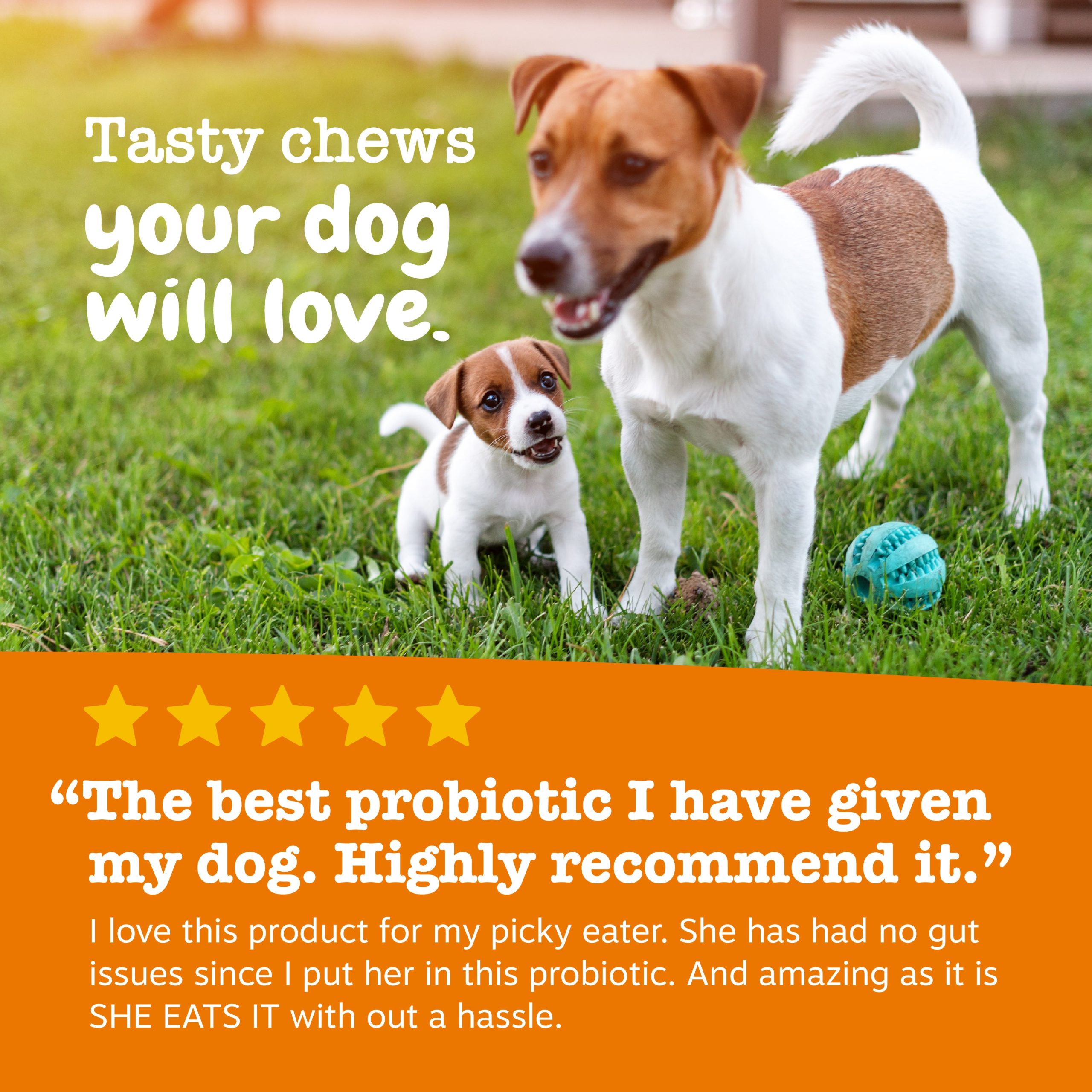 810030595632_API_3.0_ProbioticPuppy_Pumpkin_90ct_6_Review.jpg