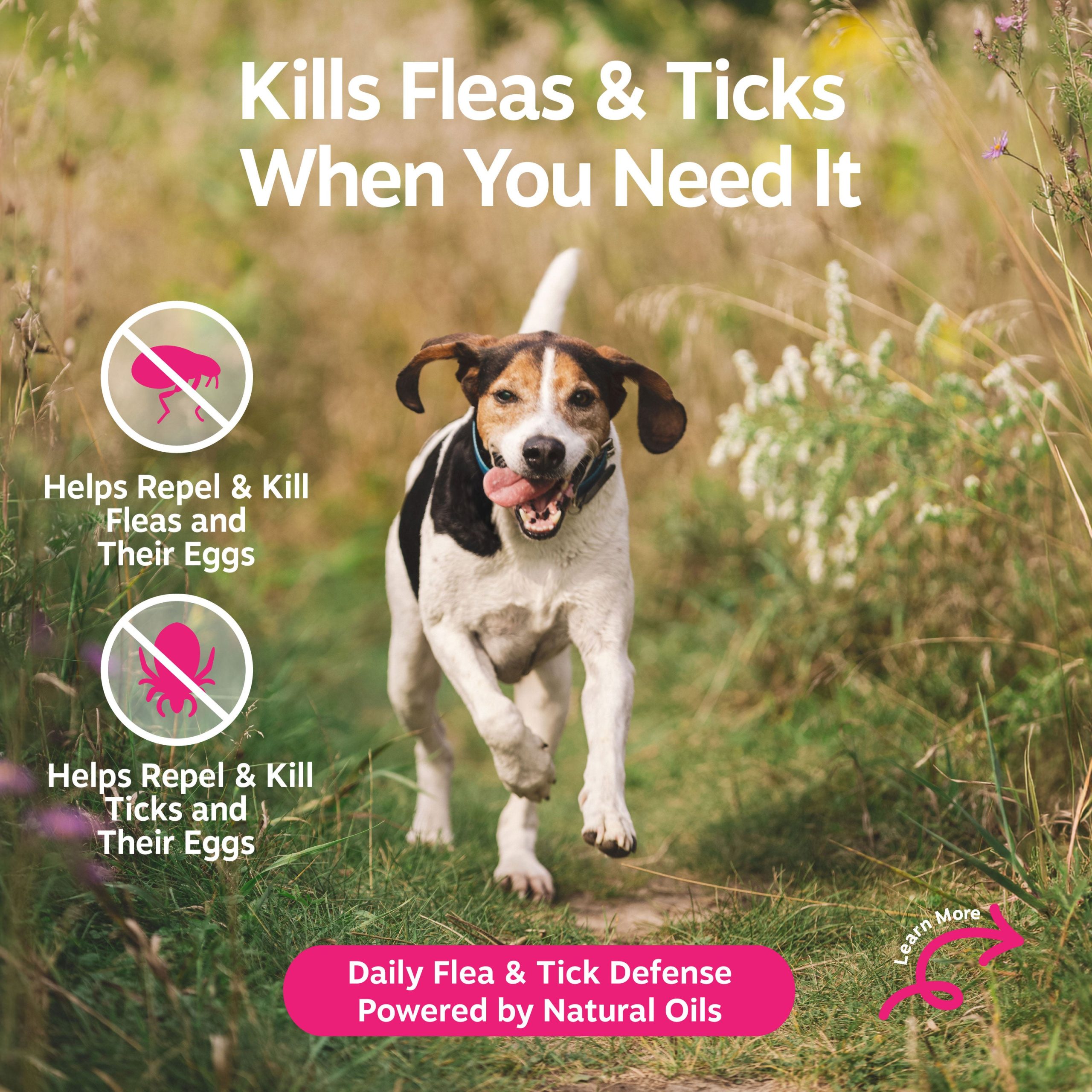 810030596592_ZP_Dog_FleaTickSpray_32oz_2_RTB.jpg