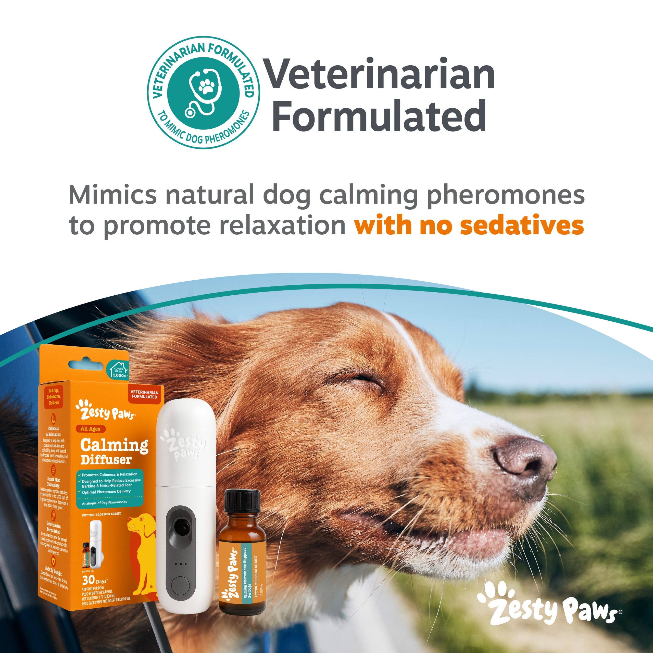 810030597087_ZP_Dog_DiffuserStarterKit_v2_7_VetFormulated.jpg