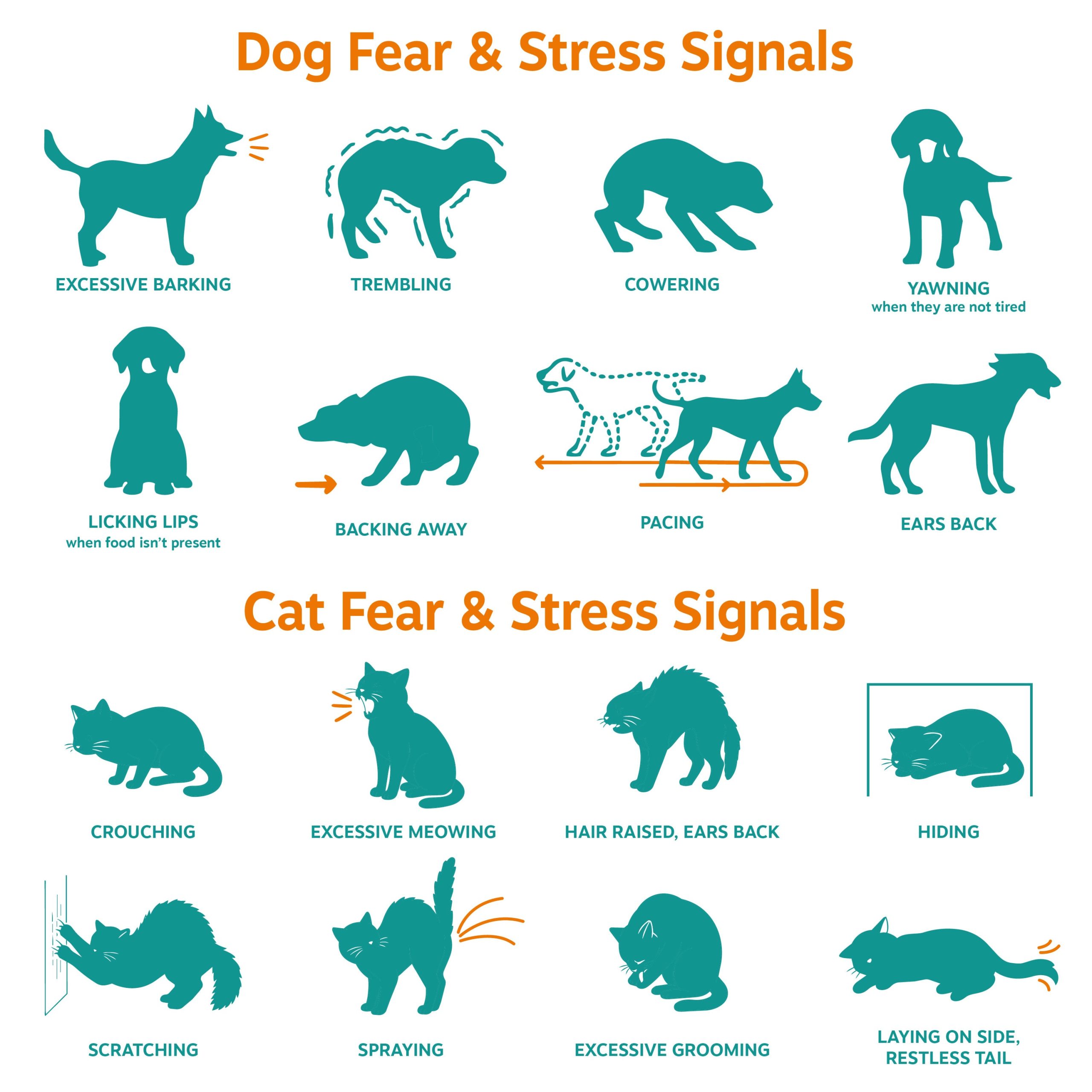 810030597223_ZP_DogCat_Calming_Drops_Salmon_4oz_v4_5_Education.jpg