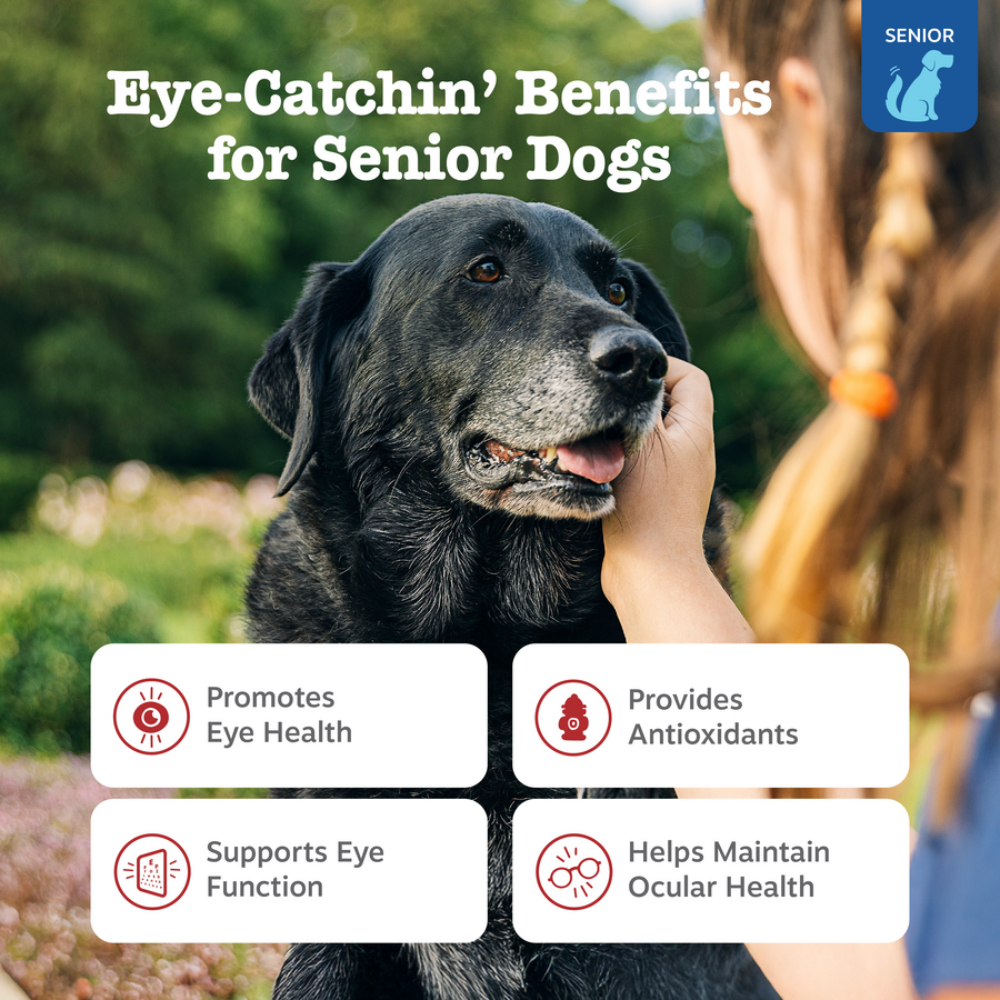 854880008287_ZP_Dog_Supplement_SrAdvVision_Bites_Chicken_90ct_Benefits-900x900-c4cc11b.png