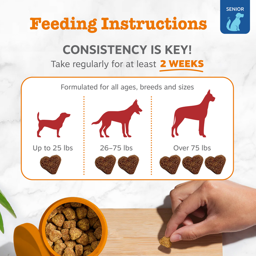 854880008287_ZP_Dog_Supplement_SrAdvVision_Bites_Chicken_90ct_Feeding-900x900-c4cc11b.png
