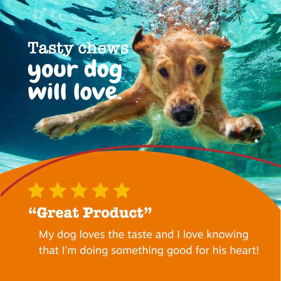 854880008713_ZP_Dog_Cardio_Salmon_90ct_6_Review-900x900-c4cc11b_690e4283-d831-476d-8509-7e0734ad8638.png