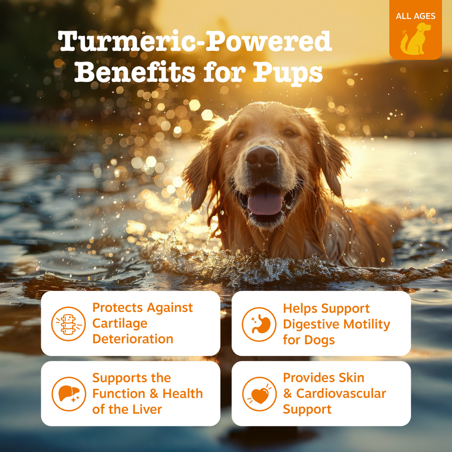 856521007109_ZP_Dog_Supplement_TurmericCurcumin_Bites_Duck_90ct_Features-900x900-c4cc11b.png
