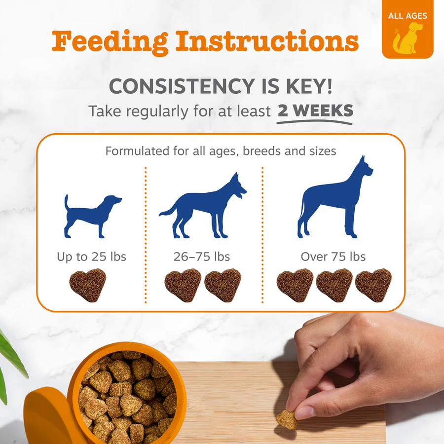 856521007505_ZP_Dog_Multi_Chicken_90-30-60-70-250ct_4_Feeding-900x900-c4cc11b.png