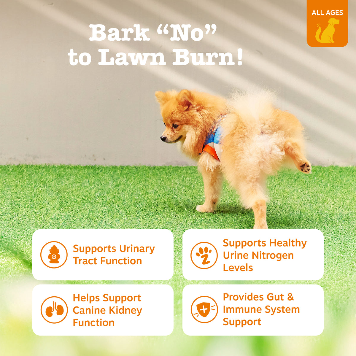 856521007796_API_3.0_StayGreen_Chicken_90ct_2_Features-1200x1200-bd93c0f.jpg