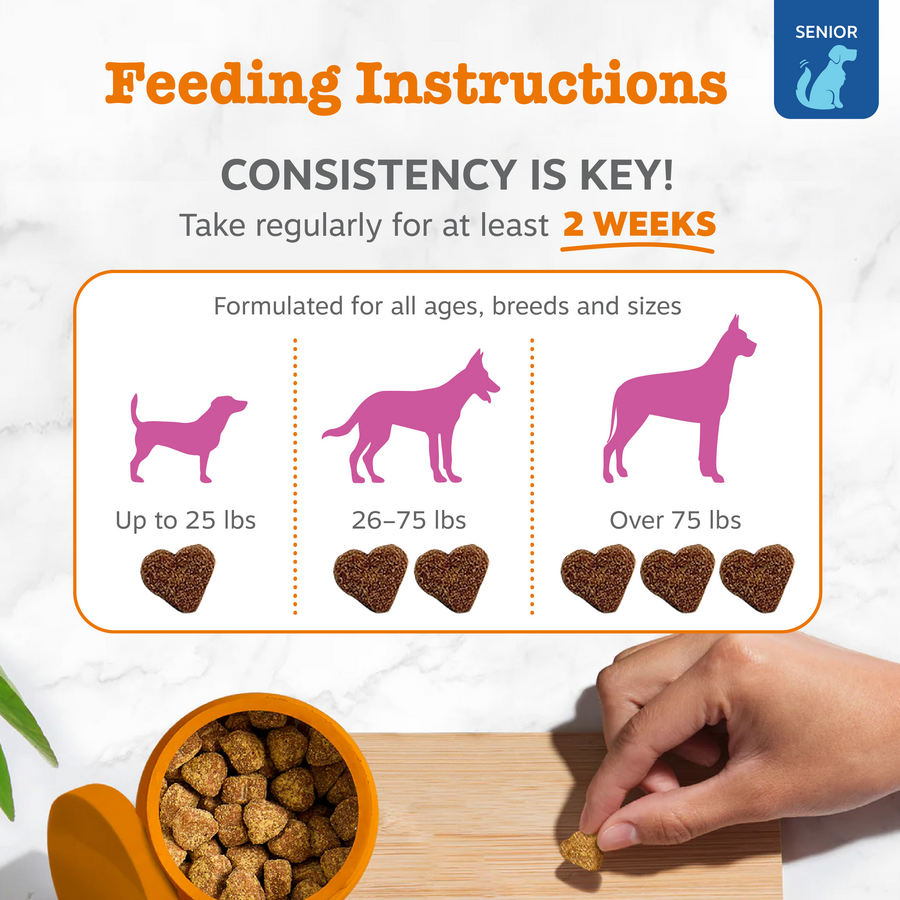 856521007833_ZP_Dog_Supplements_SrAdvHipJoint_Bites_Chicken_90ct_Feeding-900x900-c4cc11b.png