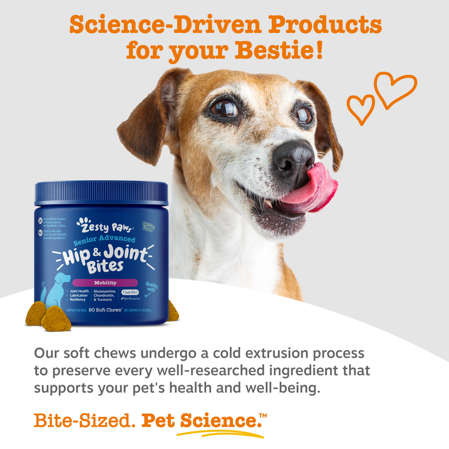 856521007833_ZP_Dog_Supplements_SrAdvHipJoint_Bites_Chicken_90ct_Science-900x900-c4cc11b.png