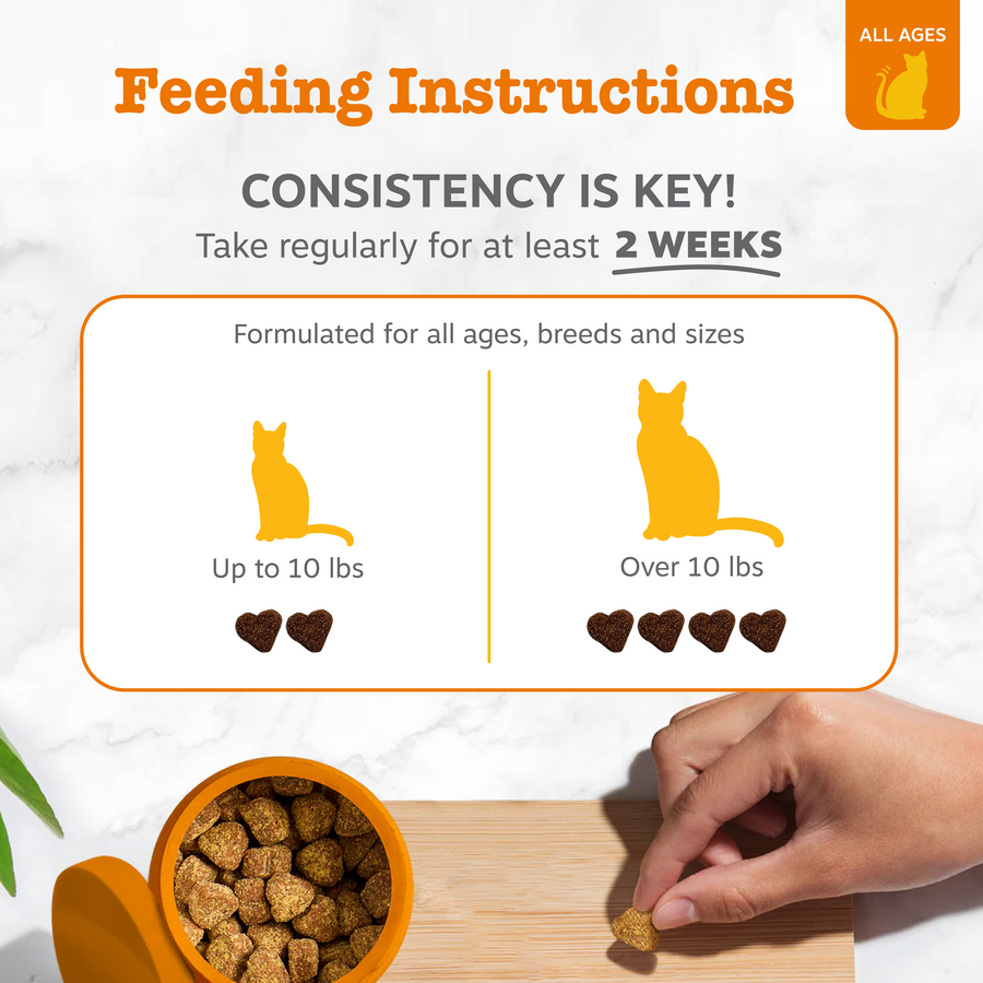 API_3.0_Cat_Generic_4_Feeding-900x900-c4cc11b.png