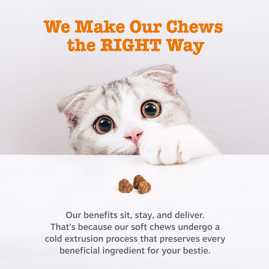 API_3.0_Cat_Generic_7_ColdPressed-900x900-c4cc11b.png