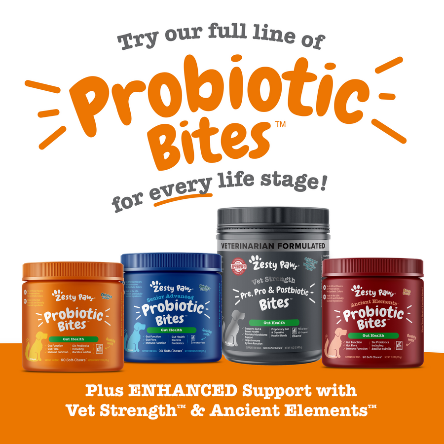 API_3.0_ProbioticPuppy_Pumpkin_90ct_9_CrossSell-900x900-c4cc11b_fdd38316-1011-4dd8-8065-37278c5d0acd.png