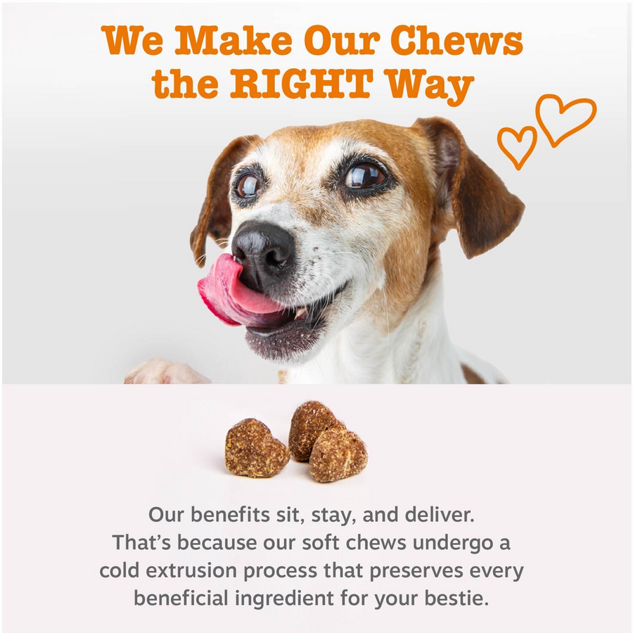 API_GenericDog_7_ColdPressed-900x900-c4cc11b_95fcbaa4-c291-4ed6-a7a1-5d6e3e9b6142.png