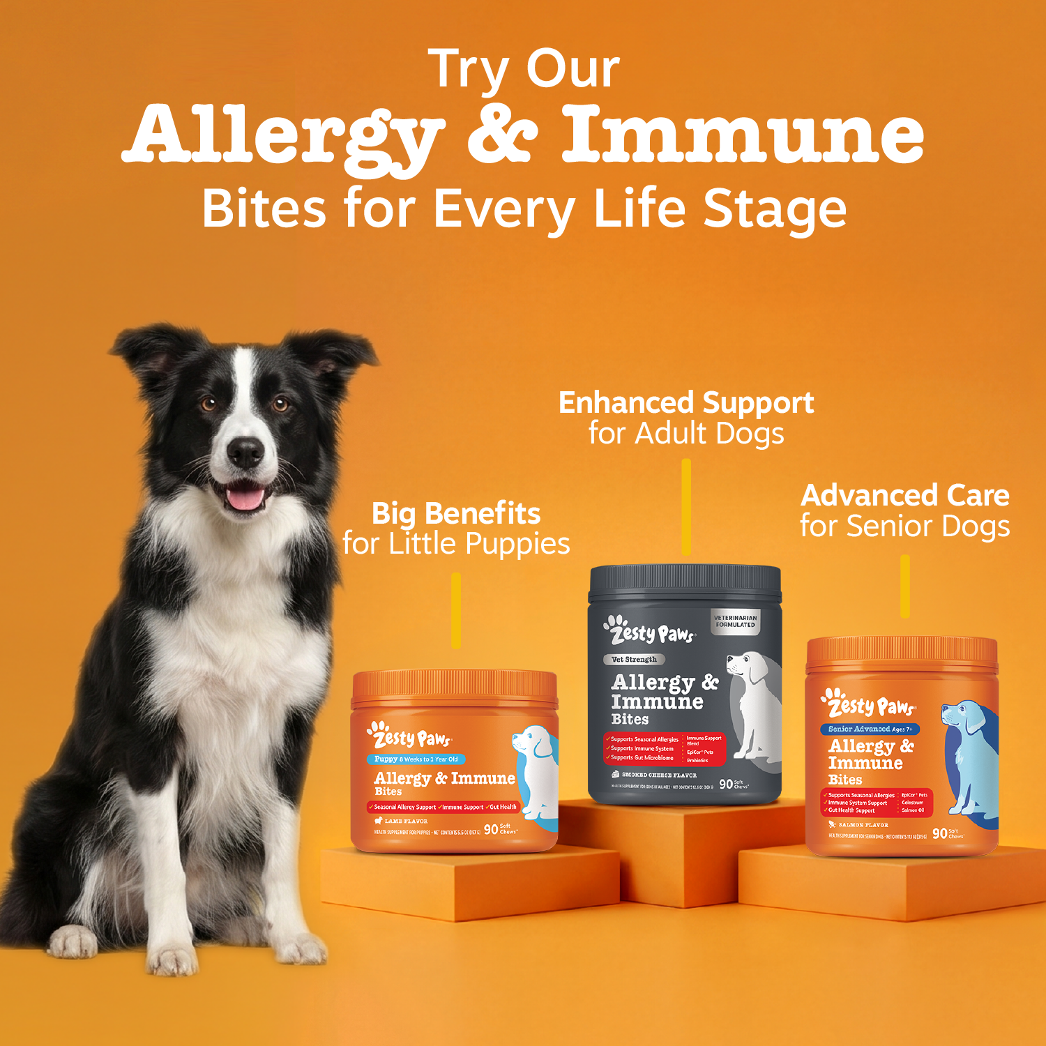ZP_810030592099_AllergyBitesVS_90ct_API_v1_10_CrossSell.png