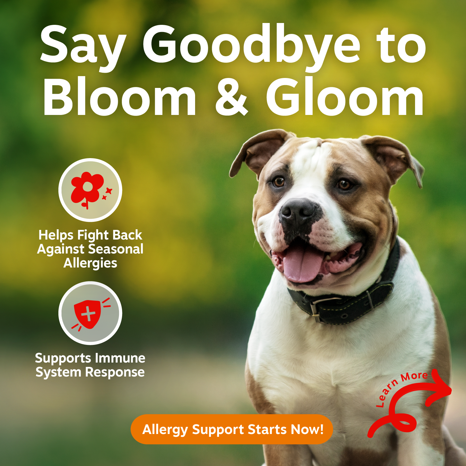 ZP_810030592099_AllergyBitesVS_90ct_API_v1_2_RTB_1.png